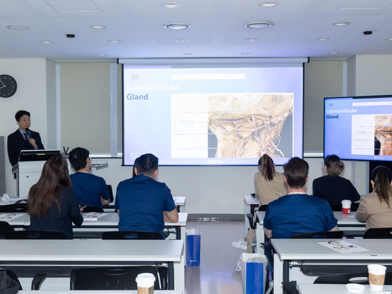 Anatomy-Based Injection Training: A Comprehensive Guide for Aesthetic Professionals